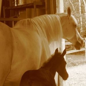 Meet your Posher, Kerry